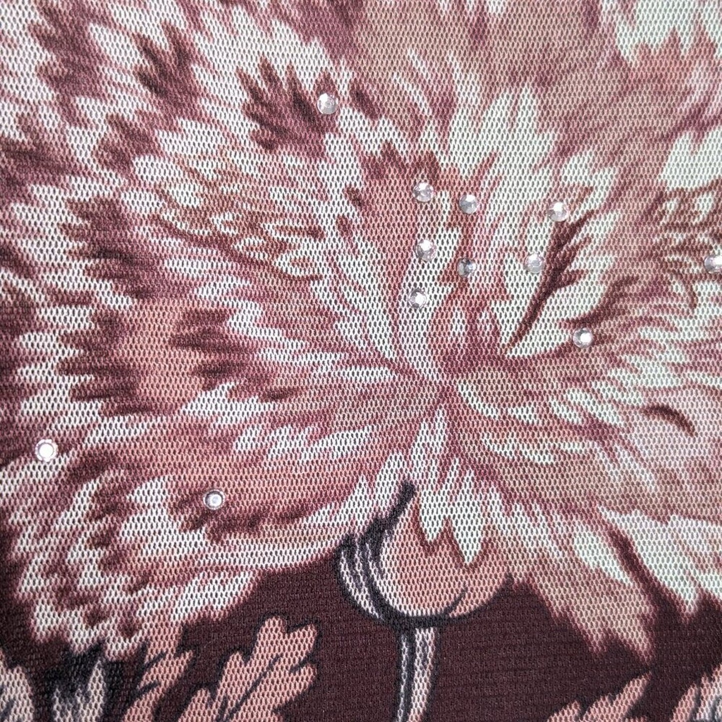 The Limited Vintage Sheer Mesh Long Sleeve Floral Print Top Rhinestones Size XS